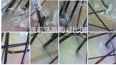 一年一度争奇斗艳的年会开始了,怎样艳压群芳?